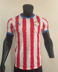 2026 PARAGUAY HOME SOCCER JERSEY 1:1