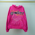 PINK 2 WEB HOODIE